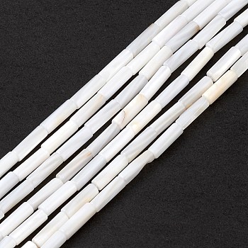 Natural Freshwater Shell Beads Strands, Column, Seashell Color, 13x4mm, Hole: 0.8mm, about 30pcs/strand, 15.16''(38.5cm)