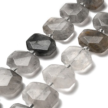 Natural Cloudy Quartz Beads Strands, with Glass Beads, Faceted, Rectangle, 20.5~22.5x15.5~16.5x6.5~7.5mm, Hole: 1.6mm, about 21pcs/strand, 15.12~15.28''(38.4~38.8cm)