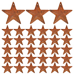 60Pcs Iron Pendants, Rusting, Star, Coconut Brown, 47x47x4mm, Hole: 1mm(IFIN-GF0001-42A)