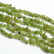 Natural Peridot Chips Beads Strands, 6~9x6~9mm, Hole: 1mm, about 31.5 inch(G-O049-C-07)