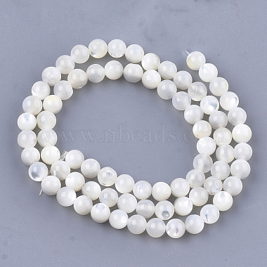 Natural White Shell Beads(X-SHEL-T012-49C)-2