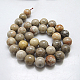 Natural Fossil Coral Round Bead Strands(X-G-N0166-05-8mm)-3