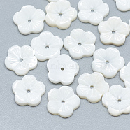 Freshwater Shell Beads, Flower, Seashell Color, 10x10x2mm, Hole: 1mm(SHEL-S275-032)