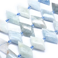 Natural Aquamarine Bead Strands, Faceted, Rhombus, 21~32x10~18x5~7mm, Hole: 0.6~0.8mm, about 20~25pcs/strand, 15 inch~15.7 inch(38~40cm)(G-O179-H26)