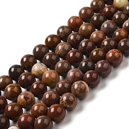 Natural Gemstone Beads Strands, Round, 10~10.5mm, Hole: 1mm, about 20pcs/strand, 15.75''(40cm)(G-A215-01C)