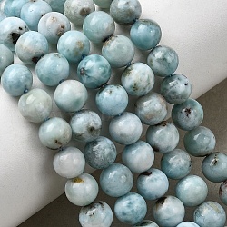 Natural Larimar Beads Strands, Round, 6~7mm, Hole: 0.7mm, about 65~66pcs/strand, 15.87~16.06''(40.3~40.8cm)(G-B156-A01-6mm)