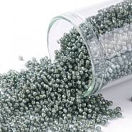 TOHO Round Seed Beads, Japanese Seed Beads, (371) Inside Color Black Diamond/White Lined, 15/0, 1.5mm, Hole: 0.7mm, about 15000pcs/50g(SEED-XTR15-0371)