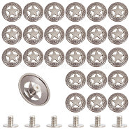 24 Sets Alloy & Iron Craft Solid Screw Rivet, DIY Leather Craft Nail, Flat Round with Star, Antique Silver, 29x6mm, Hole: 2.5mm(FIND-CA0008-71)