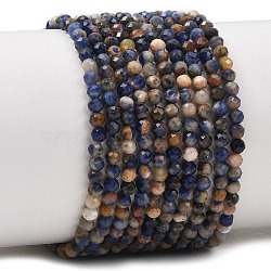 Natural Sodalite Beads Strands, Faceted, Round, 2.5~3mm, Hole: 0.6mm, about 147pcs/strand, 15.55''(39.5cm)(GG-NH0011-A01-01)