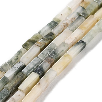 Natural Jade Beads Strands, Cuboid, 14x4~5x4~5mm, Hole: 1mm, about 28pcs/strand, 15.16''(38.5cm)