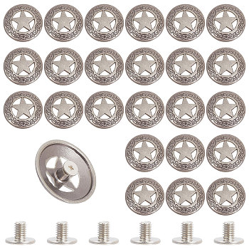 24 Sets Alloy & Iron Craft Solid Screw Rivet, DIY Leather Craft Nail, Flat Round with Star, Antique Silver, 29x6mm, Hole: 2.5mm
