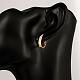 Fancy Style Ring Brass Cubic Zirconia Hoop Earrings(EJEW-BB06805-G)-5