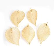 Electroplated Natural Leaf Big Pendants, with Iron Findings, Golden Plated, 55~85x25~40x1mm, Hole: 3x6mm(IFIN-Q119-02J)