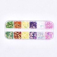Shining Nail Art Glitter, Manicure Sequins, DIY Sparkly Paillette Tips Nail, Butterfly & Horse Eye, Colorful, 4~5x2x0.3mm, 2x3x0.2mm(MRMJ-S016-005)