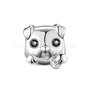 TINYSAND Rhodium Plated 925 Sterling Silver Puppy European Beads, with Cubic Zirconia, Dog Head with Coin, Platinum, 11.37x9.88x12.00mm, Hole: 4.56mm(TS-C-265)