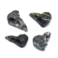 Natural Druzy Agate Sculpture Display Decorations, for Home Office Desk, Eagle's Beak, 37~40x17~22x15.5~19mm(G-F719-41)