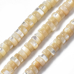 Natural Trochid Shell/Trochus Shell Beads Strands, Flat Round/Disc, Heishi Beads, BurlyWood, 4x2mm, Hole: 0.7mm, about 196~197pcs/strand, 15.75 inch(40cm)(SSHEL-S266-019B-01)