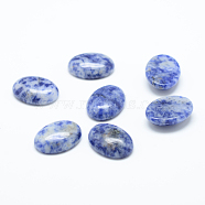 Natural Blue Spot Jasper Cabochons, Oval, 18x13x6mm(G-T020-13x18mm-09)