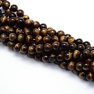 Natural Grade AB Tiger Eye Round Beads Strands, 8mm, Hole: 1mm, about 48pcs/strand, 15.5''(39.37cm)(G-YW0001-58B)