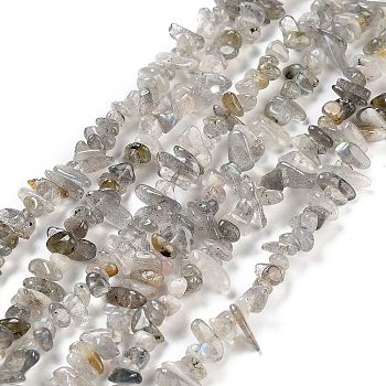 Natural Labradorite Beads Strands, Chip, Grade A, 3~10x3~5.5x2~4.5mm, Hole: 0.6mm, 31.89''(81cm)
