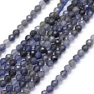 Natural Cordierite/Iolite/Dichroite Beads Strands, Faceted, Round, 3mm, Hole: 0.5mm, about 113pcs/strand, 15.35 inch(39cm)(G-E411-39-3mm)