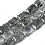 Natural Labradorite Beads Strands, Rectangle, 17.5~18.5x13~13.5x6~7mm, Hole: 1mm, about 22pcs/strand, 15.5 inch(X-G-T121-13)