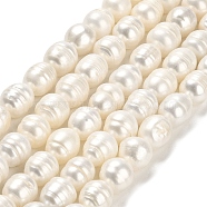 Natural Cultured Freshwater Pearl Beads Strands, Rice, Grade AB, Floral White, 11~12x10~10.5mm, Hole: 0.5mm, about 29~31pcs/strand, 14.37~14.45 inch(36.5~36.7cm)(PEAR-E016-089)
