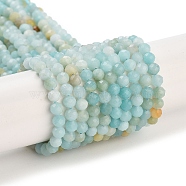 Natural Flower Amazonite Beads Strands, Faceted, Round, Grade A, 4mm, Hole: 0.7mm, about 97pcs/strand, 15.75 inch(40cm)(G-L587-A01-02)