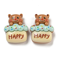 Bear Theme Opaque Resin Cabochons, Colorful, Cake Bear, 26x21x9.5mm(CRES-D040-01D)