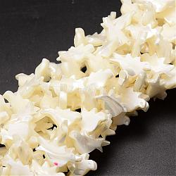Natural Trochid Shell/Trochus Shell Beads Strands, Bird, Creamy White, 12x21x4mm, Hole: 1mm, about 37pcs/strand, 16.14 inch(SSHEL-K014-01-A)