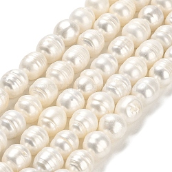 Natural Cultured Freshwater Pearl Beads Strands, Rice, Grade AB, Floral White, 11~12x10~10.5mm, Hole: 0.5mm, about 29~31pcs/strand, 14.37~14.45 inch(36.5~36.7cm)(PEAR-E016-089)