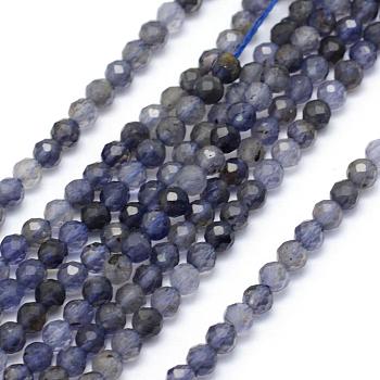 Natural Cordierite/Iolite/Dichroite Beads Strands, Faceted, Round, 3mm, Hole: 0.5mm, about 113pcs/strand, 15.35 inch(39cm)
