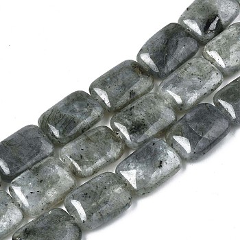 Natural Labradorite Beads Strands, Rectangle, 17.5~18.5x13~13.5x6~7mm, Hole: 1mm, about 22pcs/strand, 15.5 inch