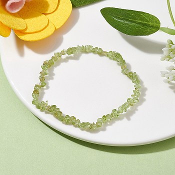 Natural Olive Jade Chips Beaded Stretch Bracelets for Women, Inner Diameter: 2-1/4~2-1/2 inch(50~52mm)