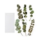 6 個のペット用粘着植物装飾ステッカー(AJEW-Q146-01F)-1