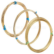 3 Bundles 3 Size Brass Craft Wire Sets, Square, Raw(Unplated), 0.6~1x0.6~1mm, about 19.69 Feet(6m)/Bundle, 1 Bundle/size(CWIR-BC0001-41)