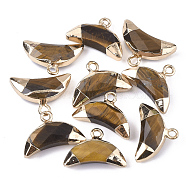 Electroplate Natural Tiger Eye Charms, with Iron Findings, Faceted, Moon, Golden, 12~13x18~19x5mm, Hole: 1.8mm(G-S344-48D)