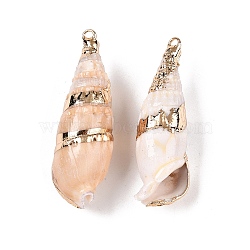 Natural Conch Shell Big Pendants, Shell Shaped Charms with Golden Tone Iron Loops, Bisque, 27~51x11~16x10~15.5mm, Hole: 1.2~1.8mm(SSHEL-N038-28)