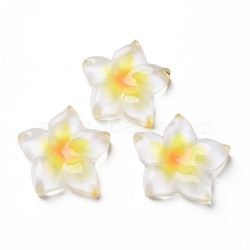 Transparent Epoxy Resin Cabochons, Flower, Yellow, 21x20x5.5mm(X-CRES-S365-23A)