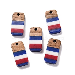 Independence Day Opaque Striped Resin & Walnut Wood Pendants, Geometric Charms, Rectangle, 20.7x10.5x3.5mm, Hole: 2mm(RESI-U010-01D)