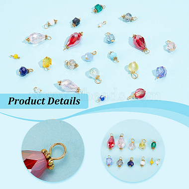 Elite 100Pcs 10 Style Glass Charms Sets(FIND-PH0018-59)-4