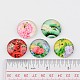 cabochons en verre(GGLA-JP0003-15)-2