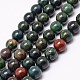 Natural Indian Bloodstone Beads Strands(G-P257-07-10mm)-1