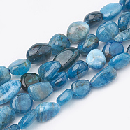 Natural Apatite Beads Strands, Oval, 5~15x4~10x2~6mm, Hole: 1mm, about 40~60pcs/strand, 15.7 inch(G-S331-6x8-002)