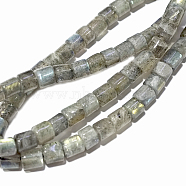 Natural Labradorite Beads Strands, Heishi Beads, Disc/Flat Round, 6x2.5~6mm, Hole: 1mm, about 72~105pcs/strand, 15.7 inch(G-O144-06)