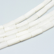 Natural White Jade Bead Strands, Cuboid, 13~14x4~5x4~5mm, Hole: 1mm, about 29~31pcs/strand, 15.3 inch(X-G-R299-20)
