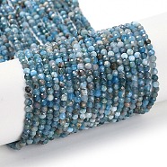 Natural Apatite Beads Strands, Faceted, Round, 2~2.5mm, Hole: 0.6mm, about 180pcs/strand, 14.96~15.08''(38~38.3cm)(G-G139-A02-01)