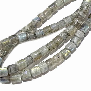 Natural Labradorite Beads Strands, Heishi Beads, Disc/Flat Round, 6x2.5~6mm, Hole: 1mm, about 72~105pcs/strand, 15.7 inch