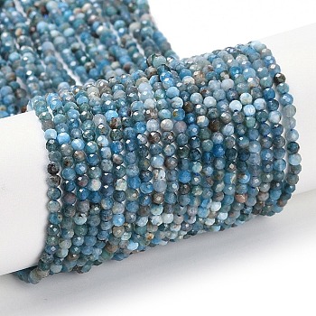 Natural Apatite Beads Strands, Faceted, Round, 2~2.5mm, Hole: 0.6mm, about 180pcs/strand, 14.96~15.08''(38~38.3cm)