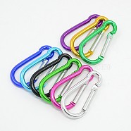 Aluminum Rock Climbing Carabiners, Key Clasps, Platinum, about 24mm wide, 50mm long, 4mm thick(EA026)